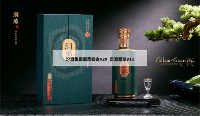 汾酒集团原浆铁盒v20_汾酒原浆v12